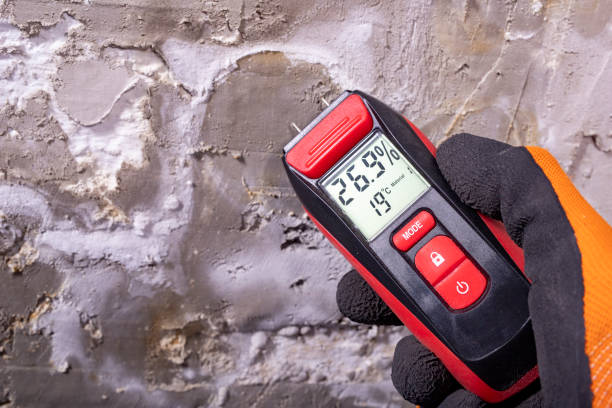 Best Crawl Space Mold Removal  in Whitwell, TN